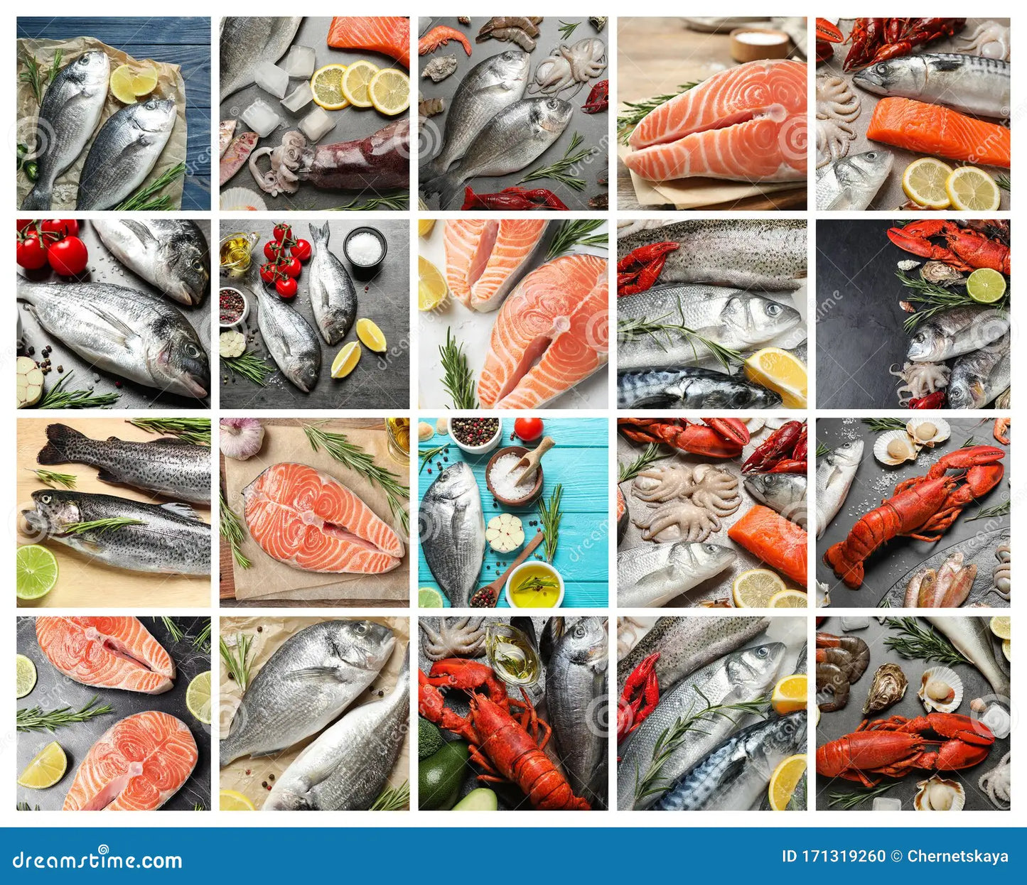 Fish Collage
