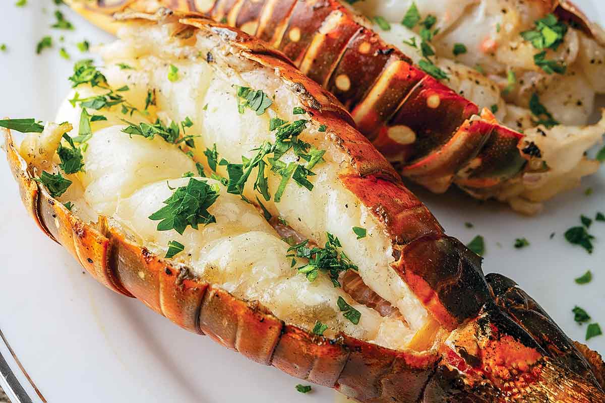 Grilled Lobster
