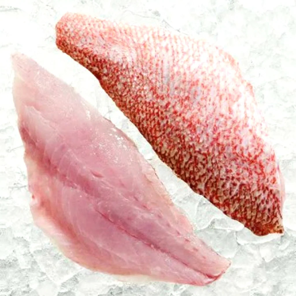 Red Snapper
